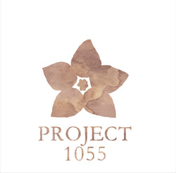 Project1055